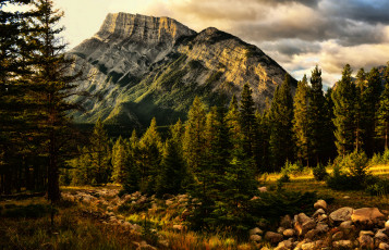 Картинка природа горы лес вершина скалы