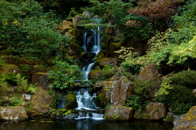 Обои картинки фото Японский сад, природа, водопады, водопад, сад, Японский, орегон, portland