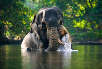 обоя девушки, -unsort , блондинки, вода, слон, девушка