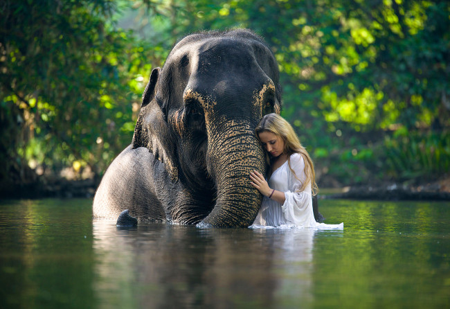 Обои картинки фото девушки, -unsort , блондинки, вода, слон, девушка