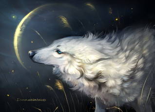 обоя рисованное, животные,  волки, волк, белый, трава, луна