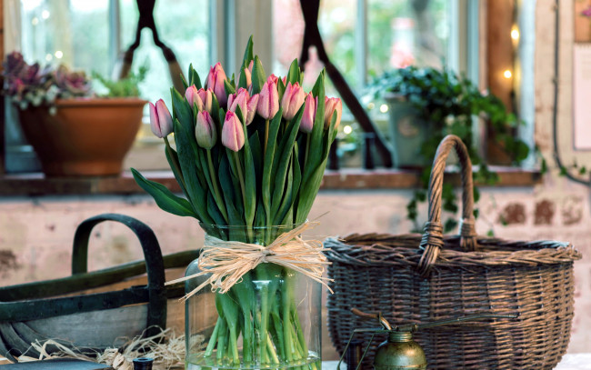 Обои картинки фото цветы, тюльпаны, корзинка, ваза, бутоны, много