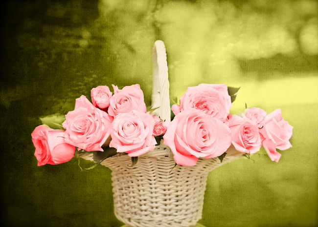Обои картинки фото цветы, розы, корзина, розовые