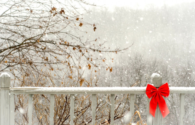 Обои картинки фото природа, зима, деревья, снег, балкон, бант