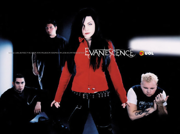 Обои картинки фото музыка, evanescence