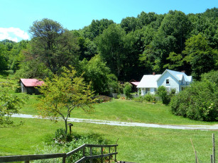 Картинка roan mountain state park природа парк сша