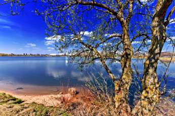 Картинка природа реки озера беларусь минская область Чижовское водохранилище