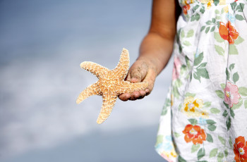 Картинка разное ракушки кораллы декоративные spa камни девочка платье рука морская звезда