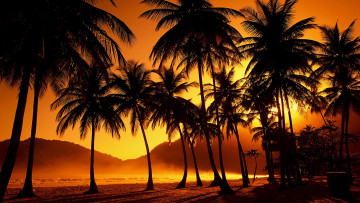 Картинка simply beautiful природа тропики пальмы