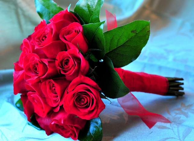 Обои картинки фото цветы, розы, букет, алый, лента