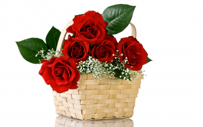 Обои картинки фото цветы, розы, корзина