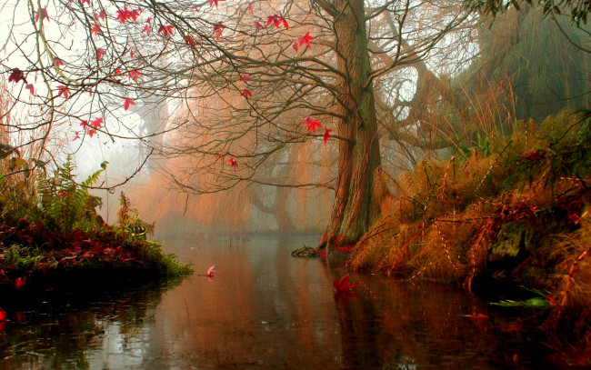 Обои картинки фото misty, river, природа, реки, озера, река, осень, пейзаж
