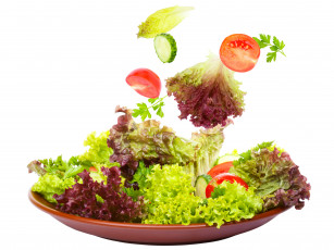 обоя еда, овощи, салат