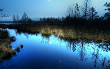 Картинка природа реки озера вечер река камыш