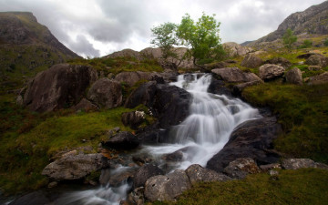 Картинка природа водопады поток дерево трава камни гор