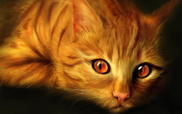 Картинка рисованные животные коты рыжий глаза кот