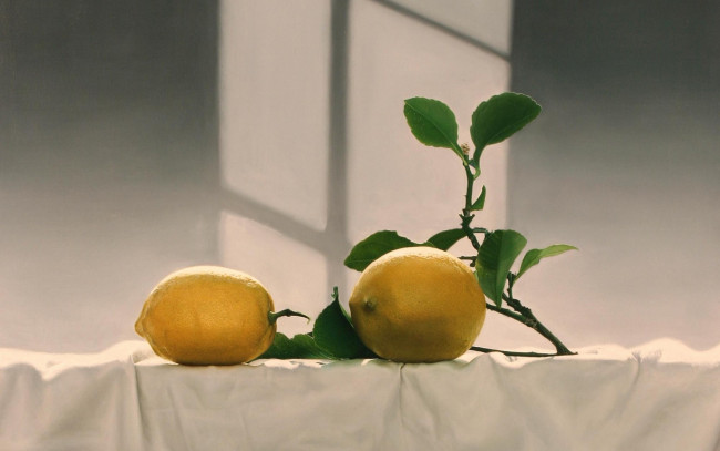 Обои картинки фото еда, цитрусы, ветка, листья, лимоны, желтый