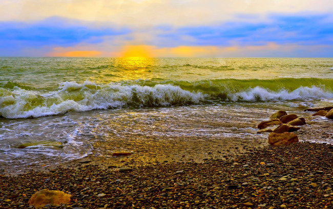Обои картинки фото golden, morning, природа, восходы, закаты, горизонт, пляж, волна, солнце, океан, утро