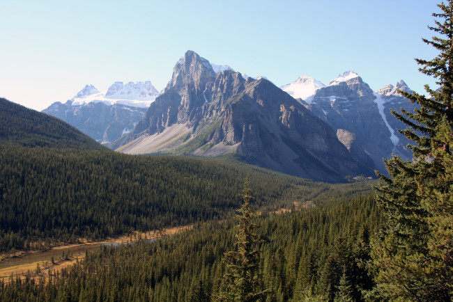 Обои картинки фото banff, canada, природа, горы, дорога, лес