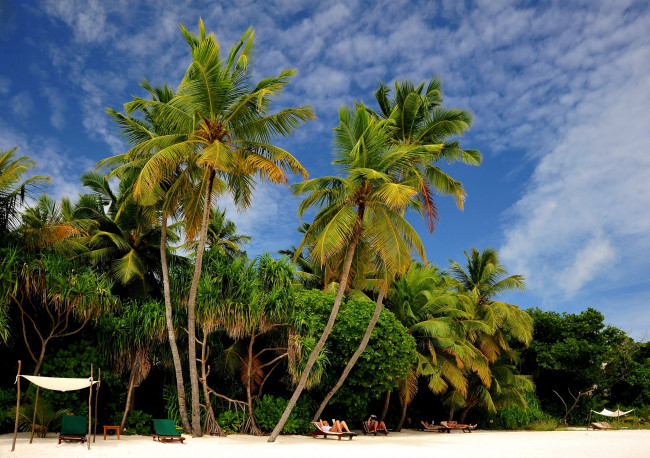 Обои картинки фото природа, тропики, отдых, пальмы, пляж