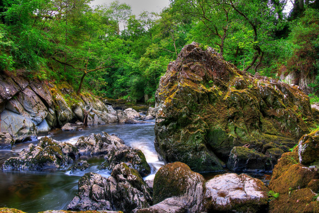 Обои картинки фото природа, реки, озера, небо, камни, река, поток, скалы, деревья, сноудония