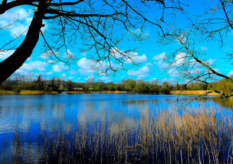 Картинка природа реки озера небо пруд река деревья мостик