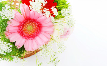Картинка цветы букеты +композиции flowers розовый герберы