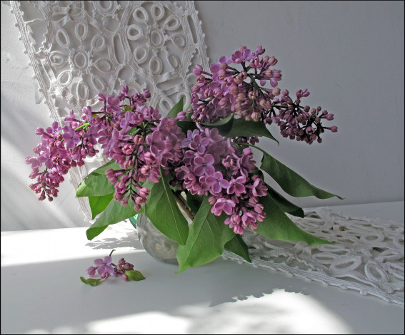 Обои картинки фото цветы, сирень, салфетка, ваза