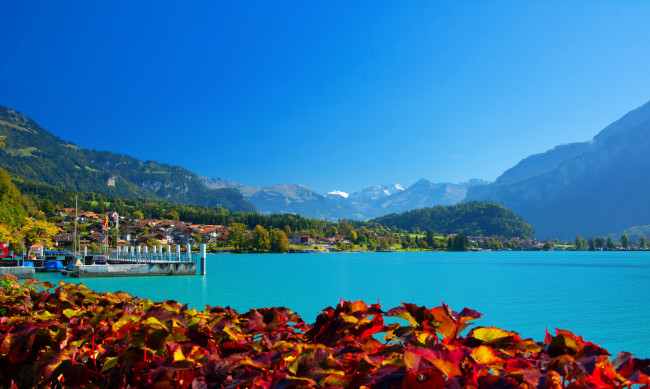 Обои картинки фото бриенц швейцария, природа, реки, озера, пейзаж, побережье, озеро, швейцария, бриенц