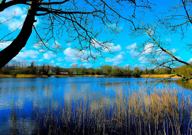 Обои картинки фото природа, реки, озера, небо, пруд, река, деревья, мостик