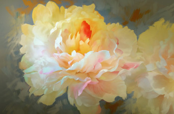 Картинка рисованное цветы лепестки пион