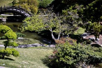 Картинка природа парк японский мостик водоем сад
