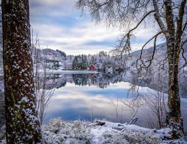 Обои картинки фото города, - пейзажи, зима, деревья, фьорд, norway, деревня, норвегия, sogn, og, fjordane, flekke, домики, отражение, flekkefjorden