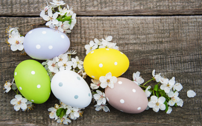 Обои картинки фото праздничные, пасха, цветы, яйца, colorful, happy, wood, blossom, flowers, spring, easter, eggs, decoration