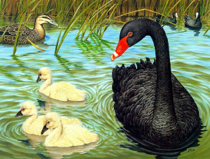 Картинка рисованное животные +птицы +лебеди утка лебедь лебедята лысухи озеро камыши