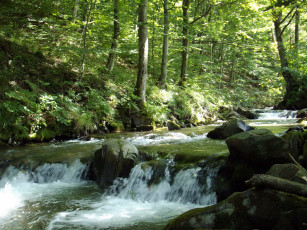 Картинка природа реки озера камни вода лес