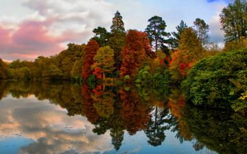 Картинка природа реки озера осень река деревья