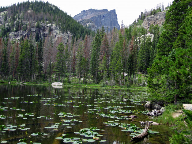 Обои картинки фото природа, горы, national, park, colorado, cub, lake, rocky, mountain