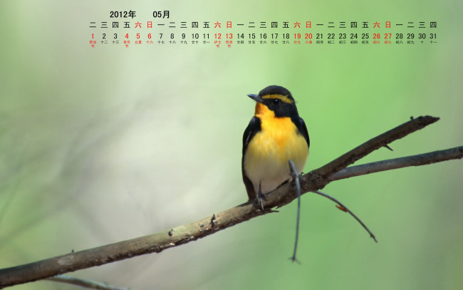 Обои картинки фото календари, животные, ветка, птица