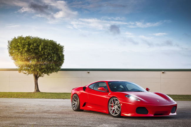 Обои картинки фото ferrari, f430, автомобили, дерево, стена