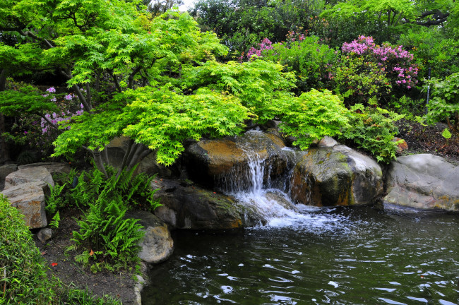 Обои картинки фото природа, парк, калифорния, miller, japanese, garden