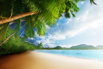 обоя природа, тропики, солнце, пляж, песок, море, пальмы, небо, берег, океан