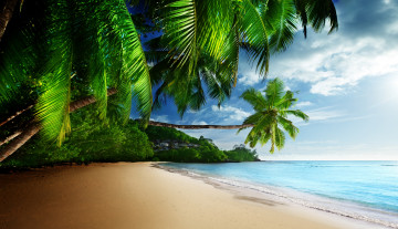 обоя природа, тропики, солнце, море, песок, океан, небо, пляж, берег, пальмы