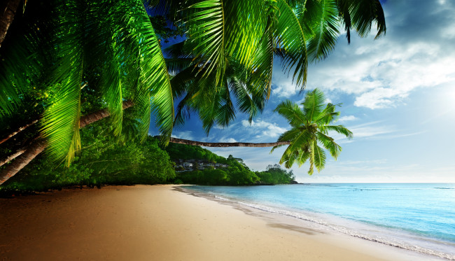 Обои картинки фото природа, тропики, солнце, море, песок, океан, небо, пляж, берег, пальмы