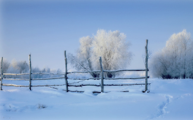 Обои картинки фото природа, зима, утро, поле, снег, забор