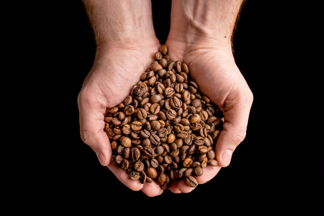 Обои картинки фото еда, кофе,  кофейные зёрна, зерна, руки