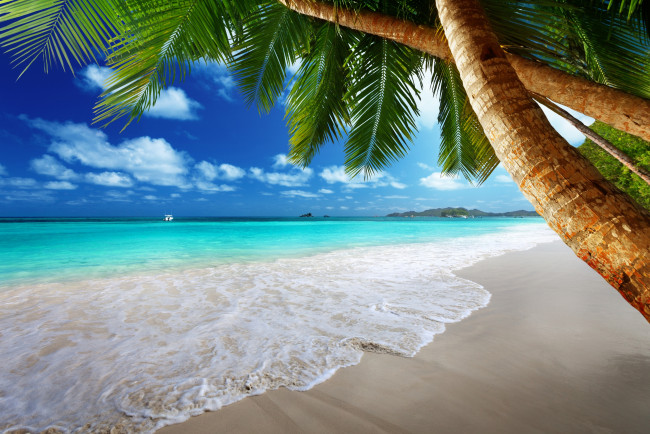 Обои картинки фото природа, тропики, солнце, море, песок, пальмы, берег, пляж, остров, океан