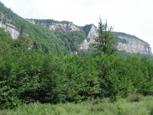 Картинка ущелье+гуамка природа горы кавказские