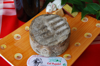 Картинка cal+pujolet еда сырные+изделия сыр