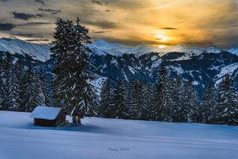 Картинка природа зима лес снег альпы горы